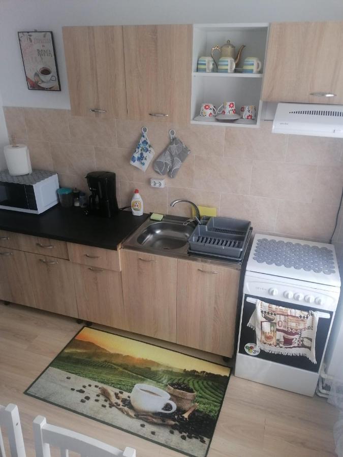 Apartament Alexia Apartman Orsova Kültér fotó